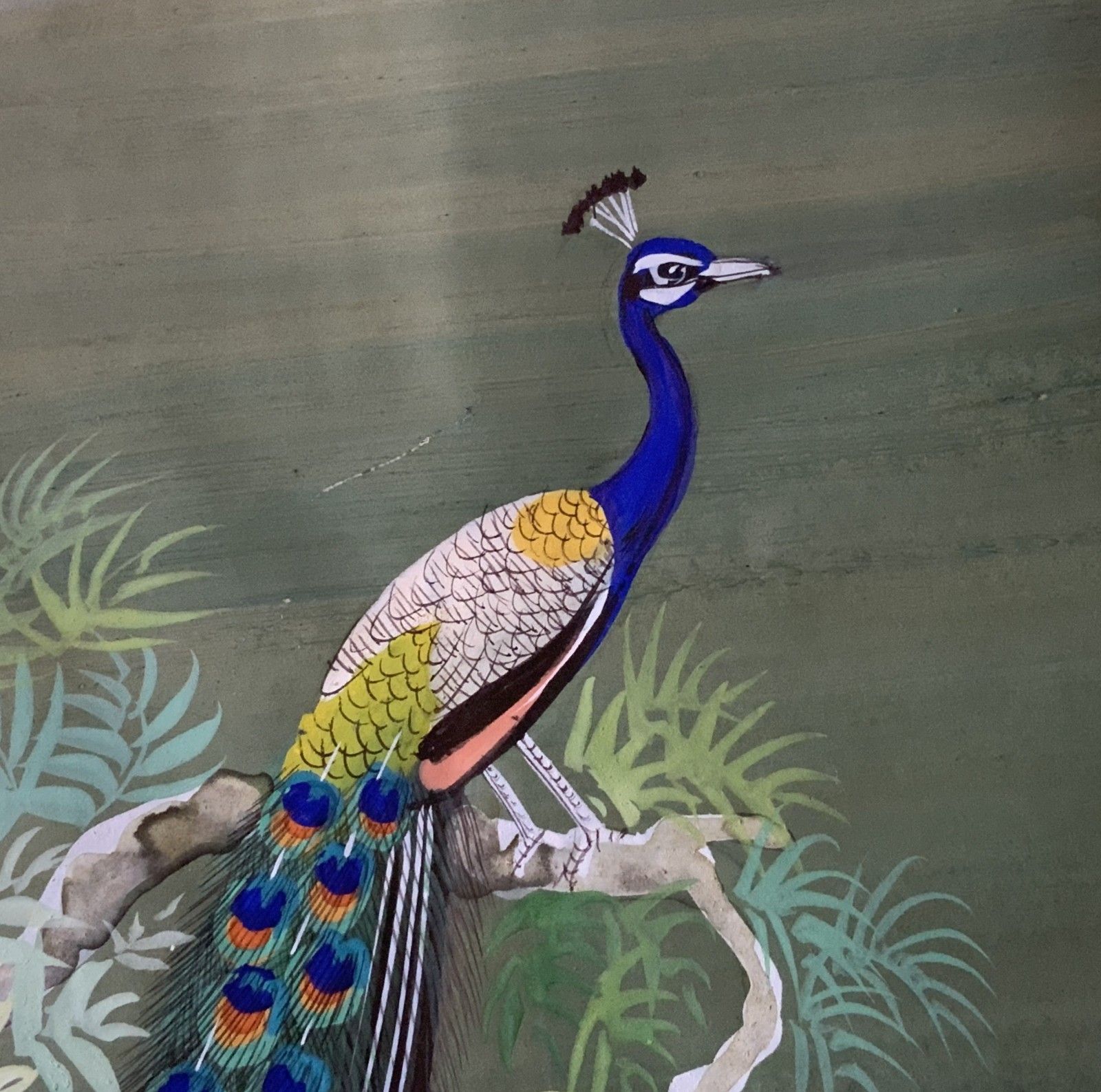 Charming 19thc Indian Mughal School Peacock Watercolour Painting With Scripture photo vintage