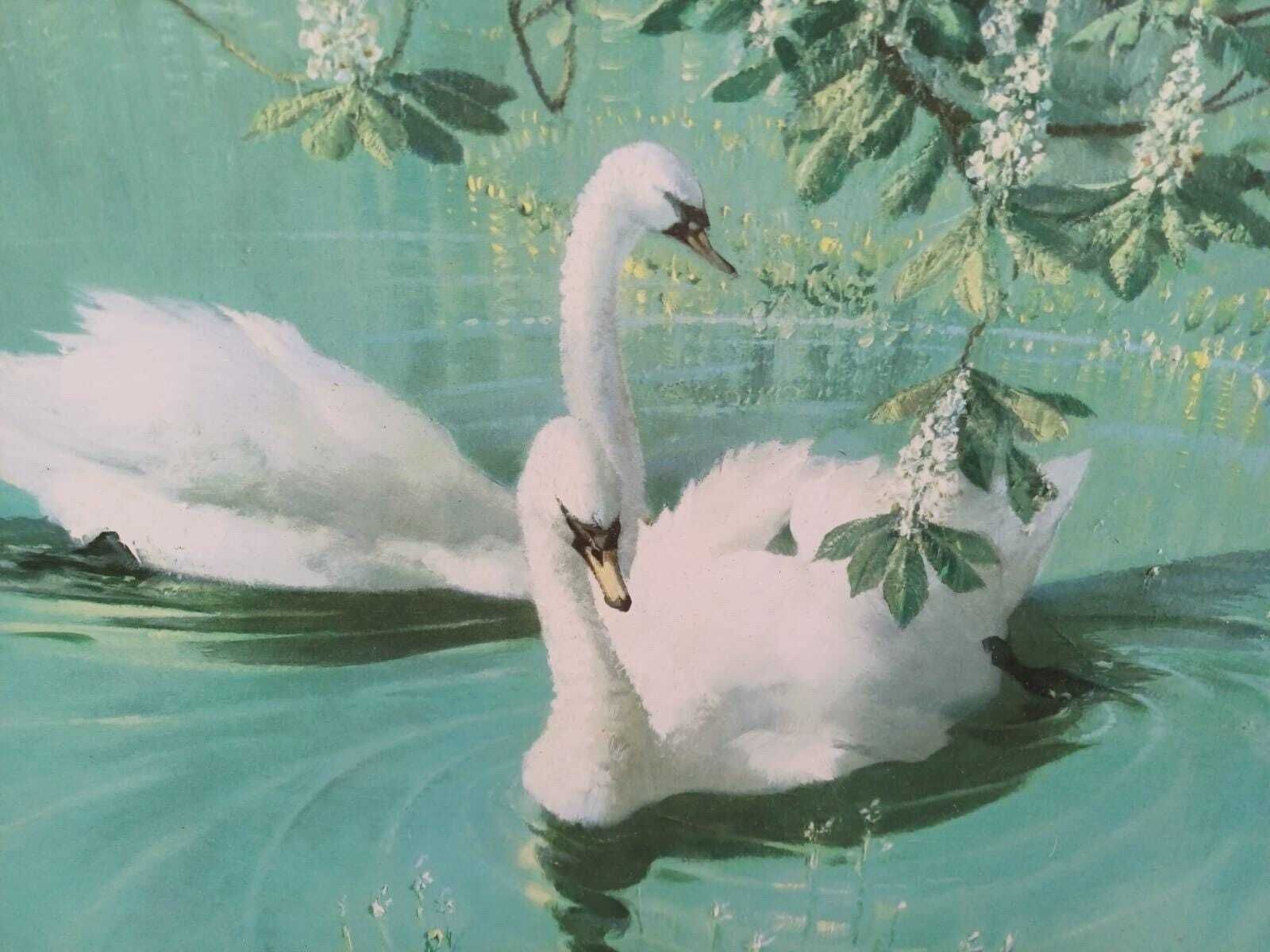 Authentic Retro Vernon Ward Swan Print Mid Century Vintage Framed British Art photo for sale