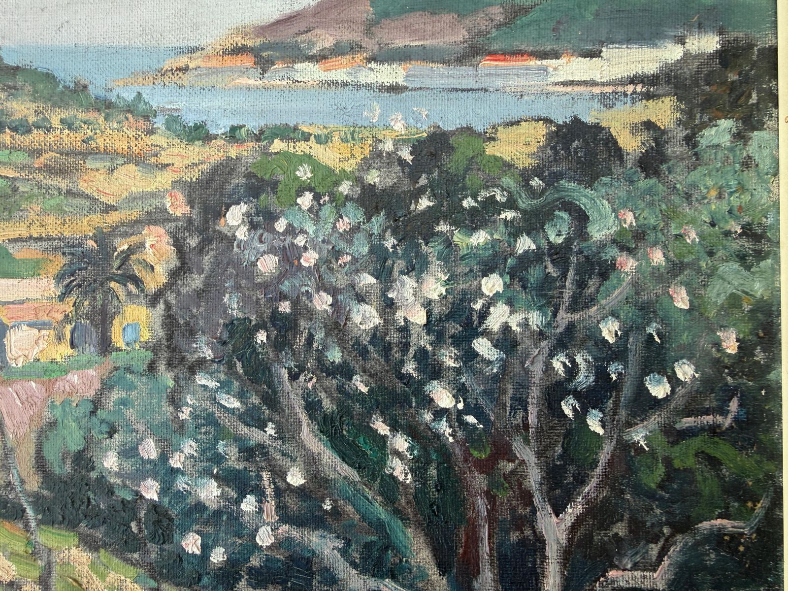 Rafael Duran Benet Oil Painting Mediterranean Landscape With Flowering Trees C.1980 photo Art