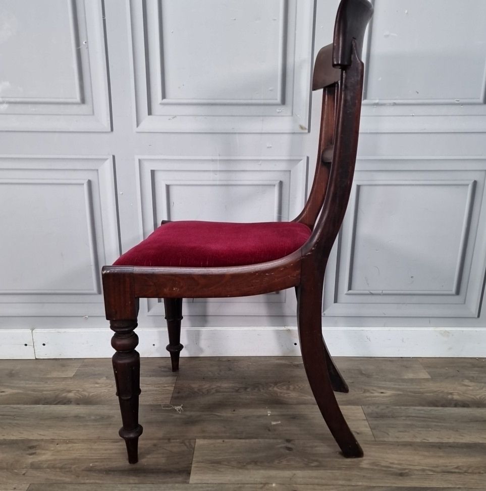 Furniture Antique Dining Chair Mahogany – Upholstered Seat Carved Legs 19th Century photo
