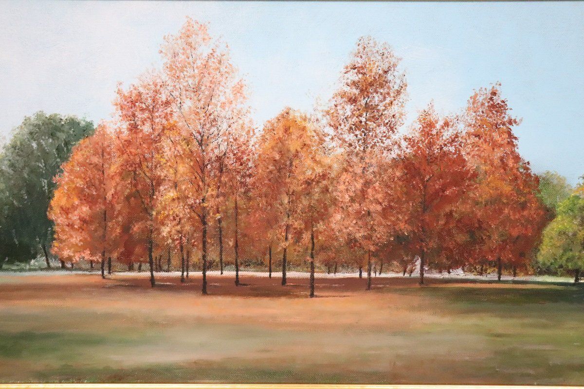Autumn Landscape, Oil Painting On Canvas Cardboard, 20th Century, Framed photo for sale