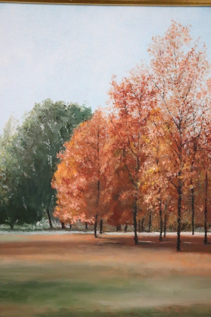 Autumn Landscape, Oil Painting On Canvas Cardboard, 20th Century, Framed photo Art