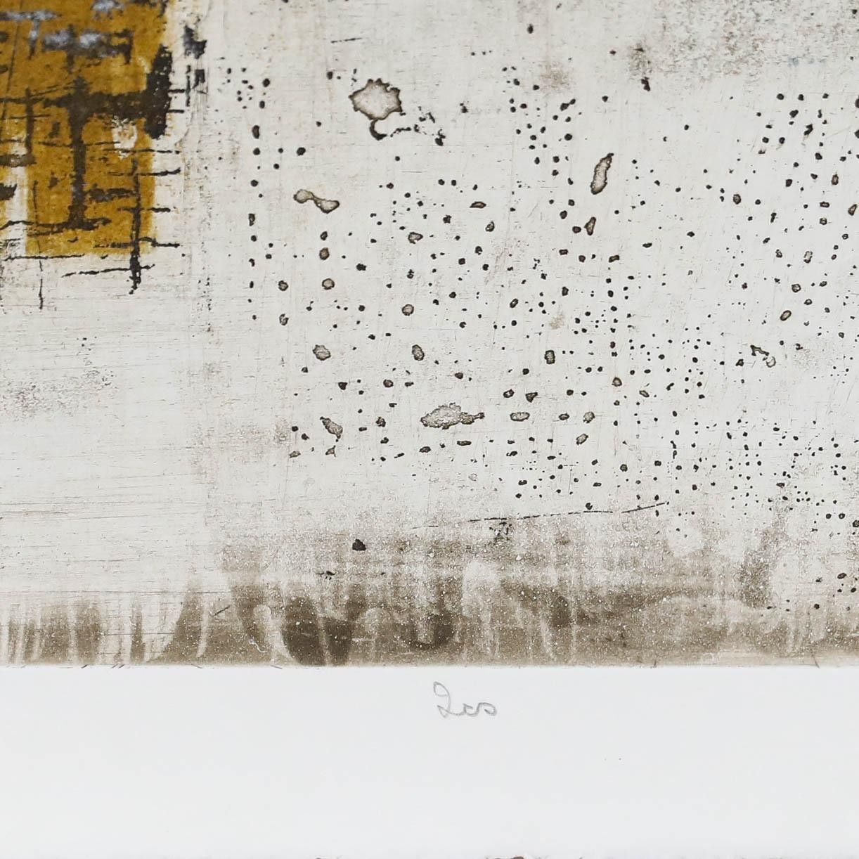 Betty Connal Peebles (1935 1999) 20th Century Collagraph, Les photo for sale
