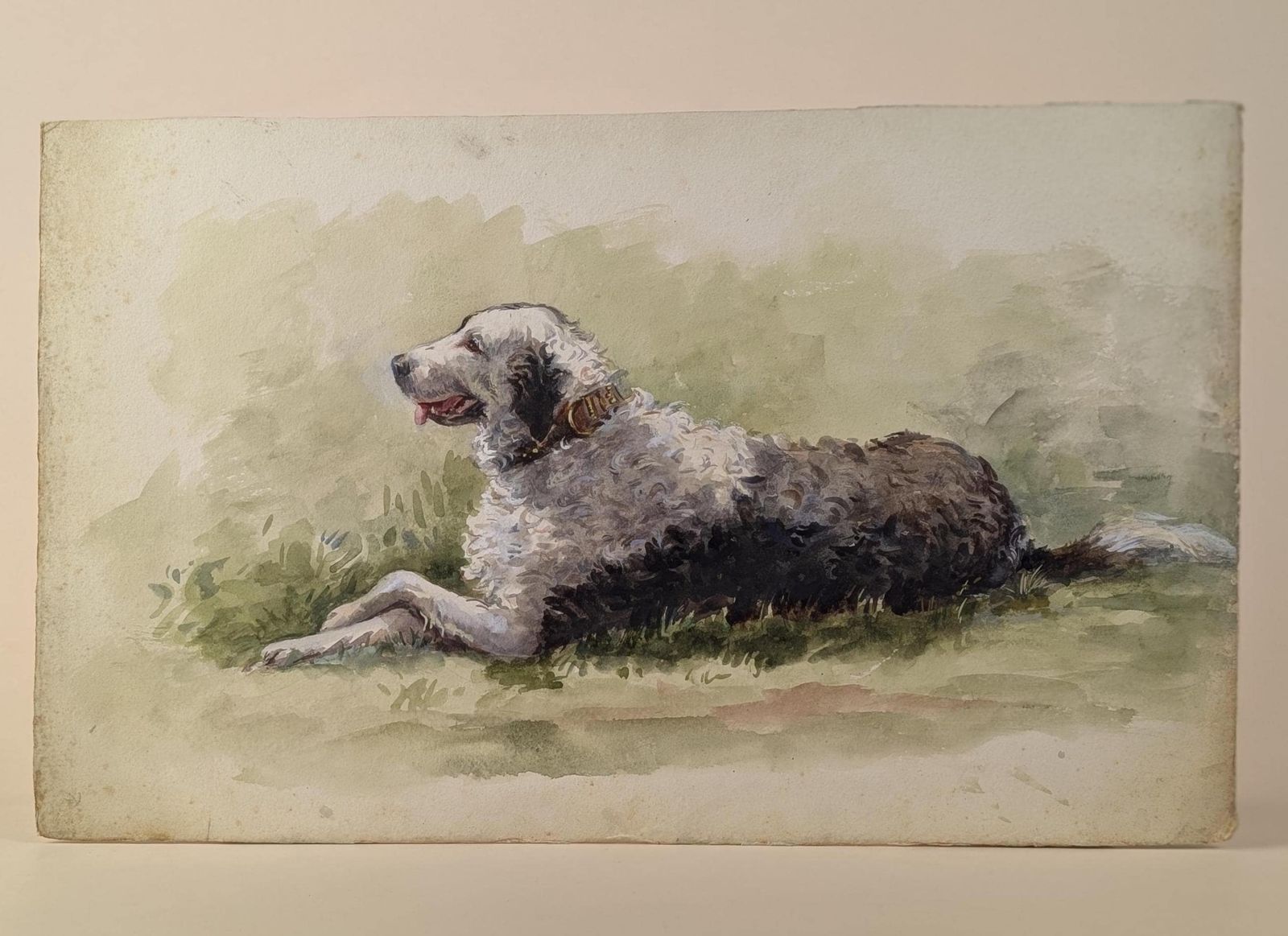 Large Mid Century Watercolor Sheepdog Portrait: Original 1930s Animal Painting On Textured Paper photo furniture