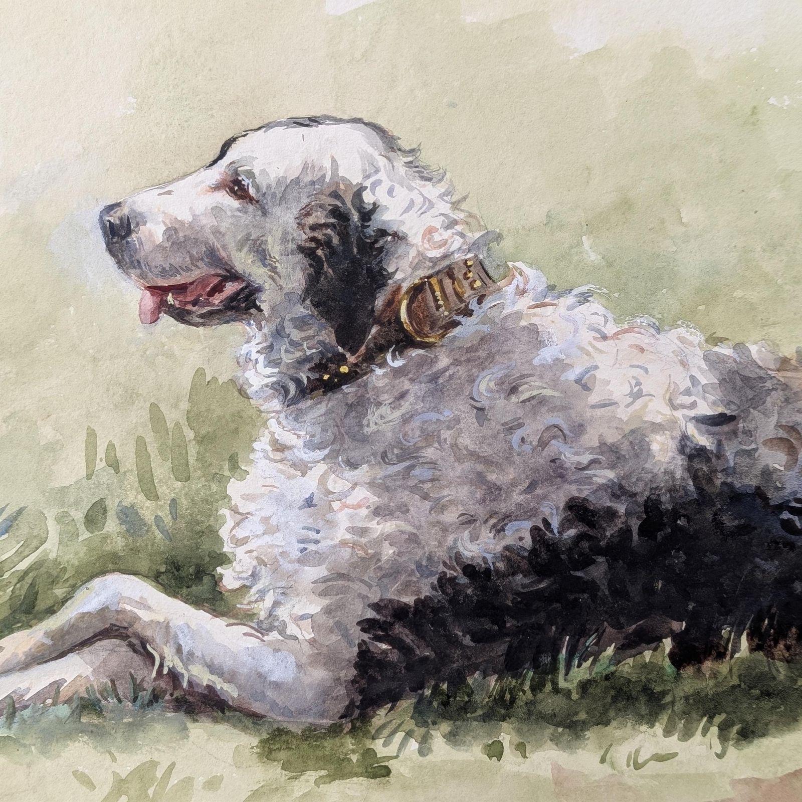 Large Mid Century Watercolor Sheepdog Portrait: Original 1930s Animal Painting On Textured Paper photo for sale