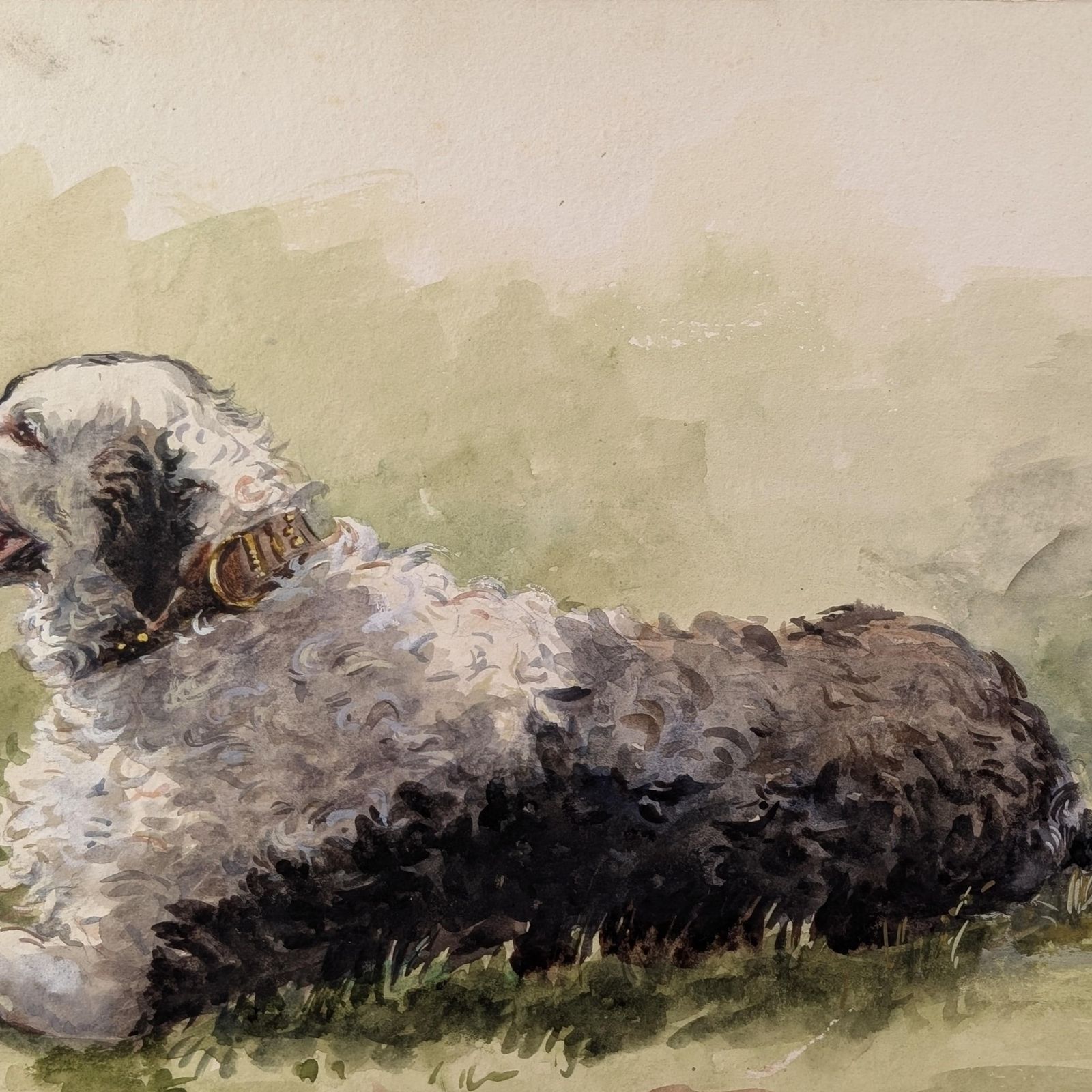Large Mid Century Watercolor Sheepdog Portrait: Original 1930s Animal Painting On Textured Paper photo buy