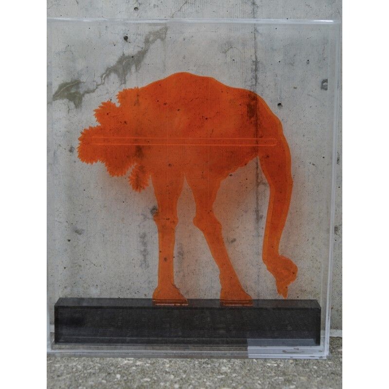Perspex Sculpture By Gino Marotta photo furniture