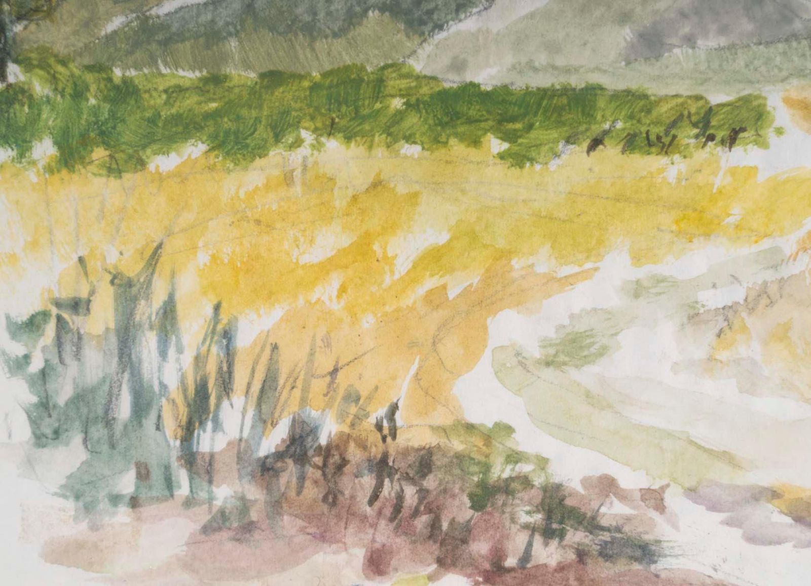 Watercolour On Paper By Evelyne Luez, Framed Under Glass. photo Art