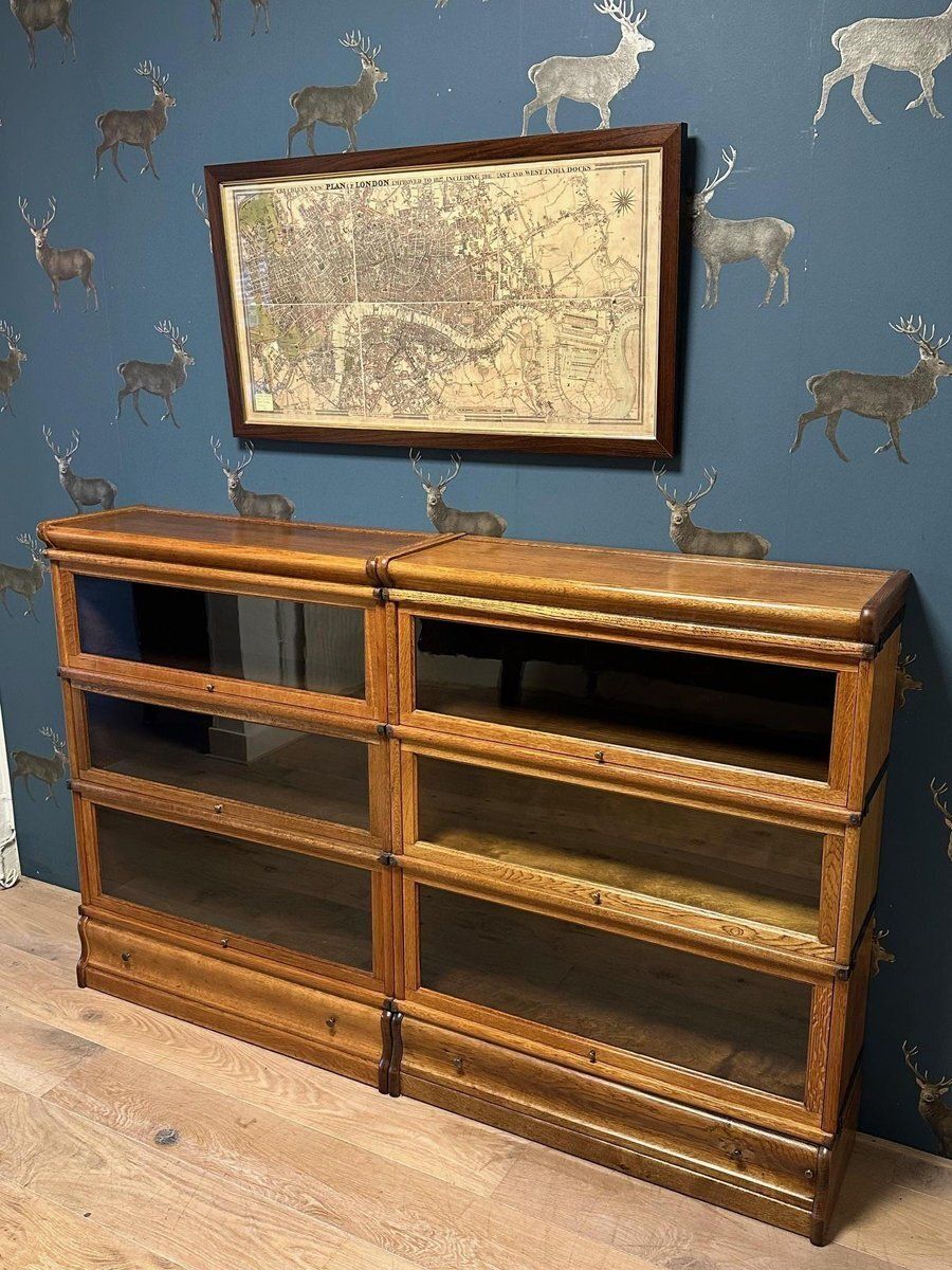 Bookcase From Globe Wernicke, 1890s, Set Of 6