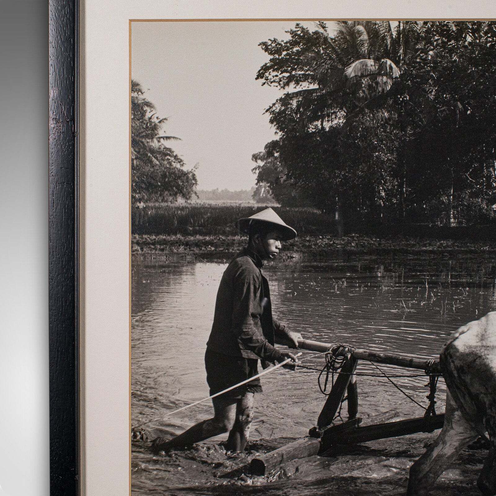 Vintage Photograph, Rural Indonesia, Oriental, Monochrome, Java, Mid Century photo Art