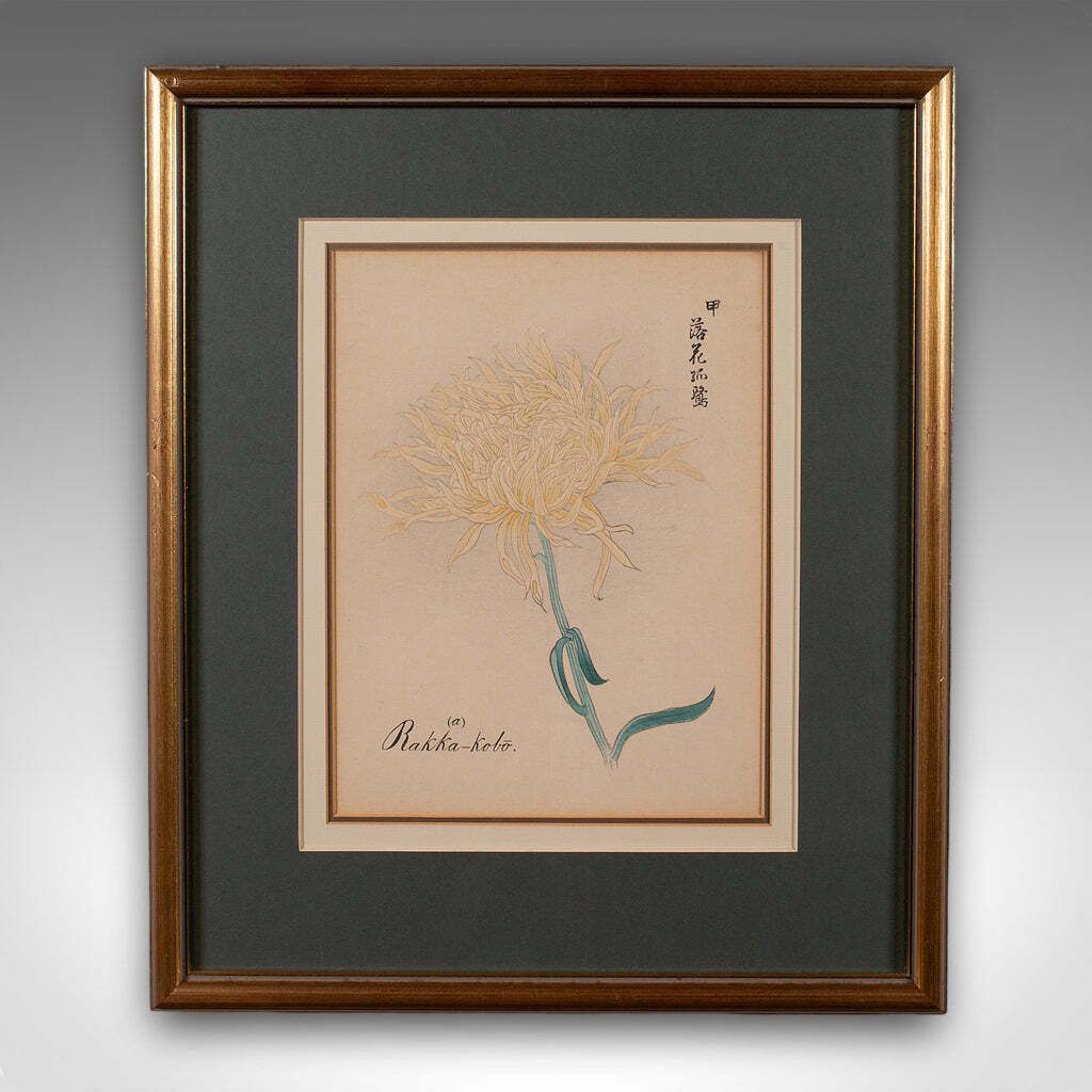 3 Vintage Botanical Pictures, Japanese, Woodblock Print, After Hasegawa, Art photo 403.0