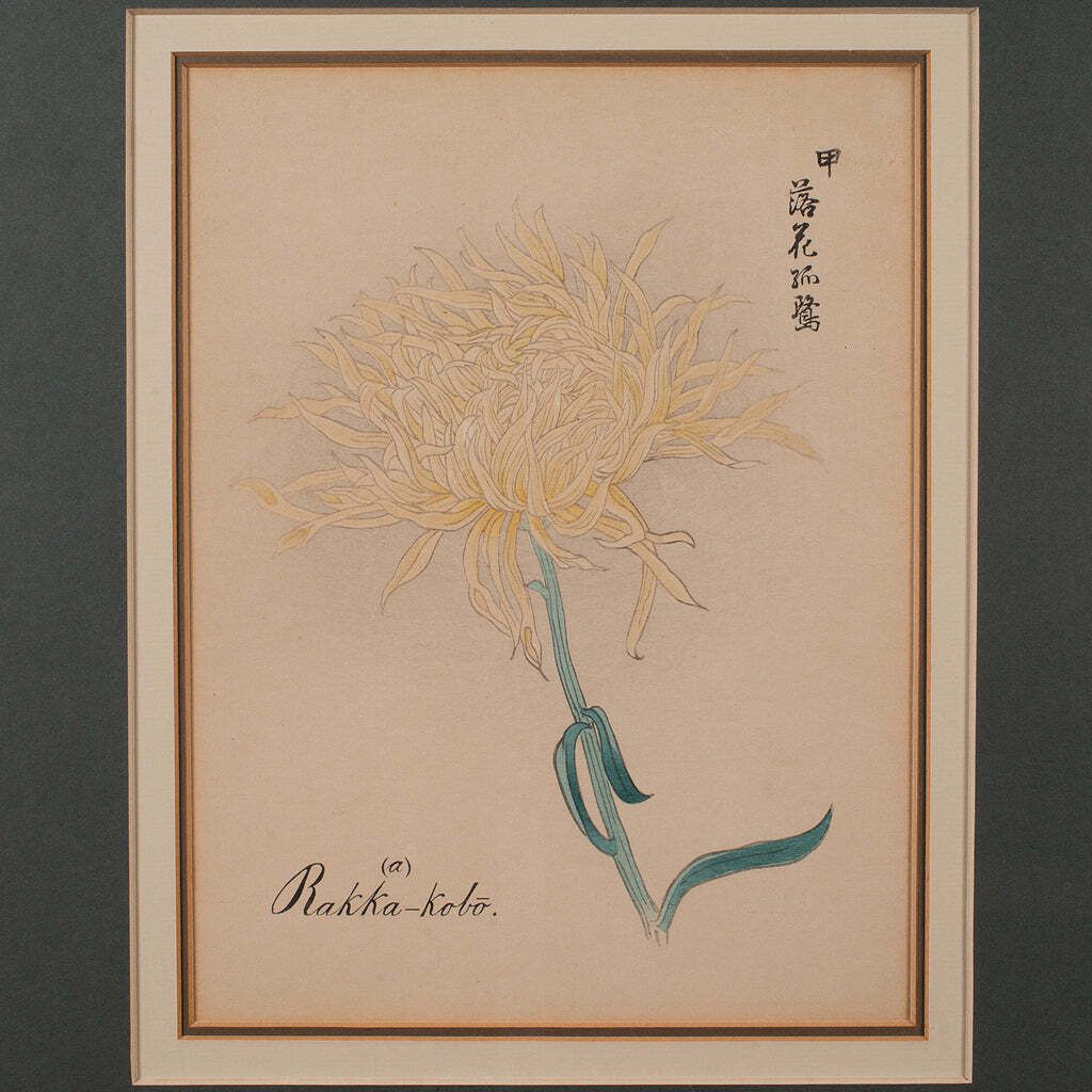 3 Vintage Botanical Pictures, Japanese, Woodblock Print, After Hasegawa, Art photo vintage