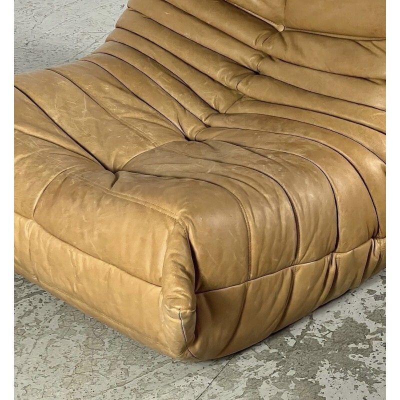 Copy Of Reupholstered Vintage Togo Duo By Michel Ducaroy photo vinterior