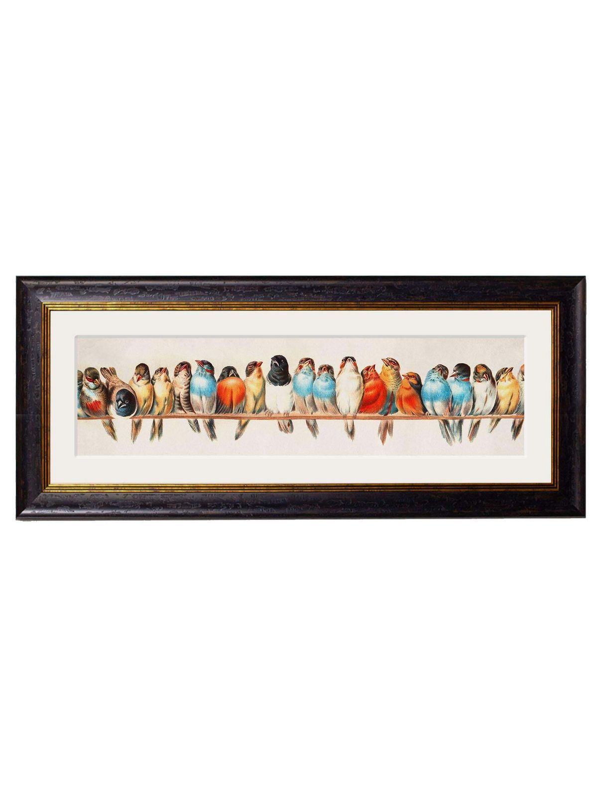 Birds On A Wire Framed Print By Hector Giacomelli Originally Ca 1880, New photo furniture