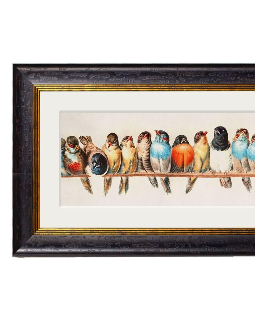 Birds On A Wire Framed Print By Hector Giacomelli Originally Ca 1880, New photo for sale