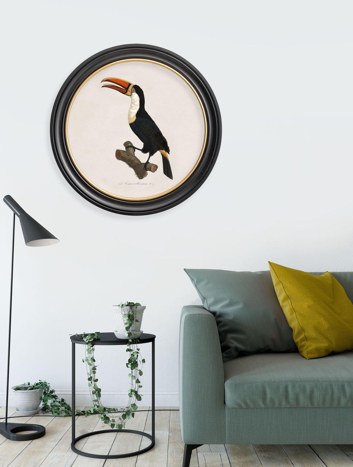 Set Of Two Toucan Prints (B) In Circular Frames From Early 19thc Originals, New photo vinterior