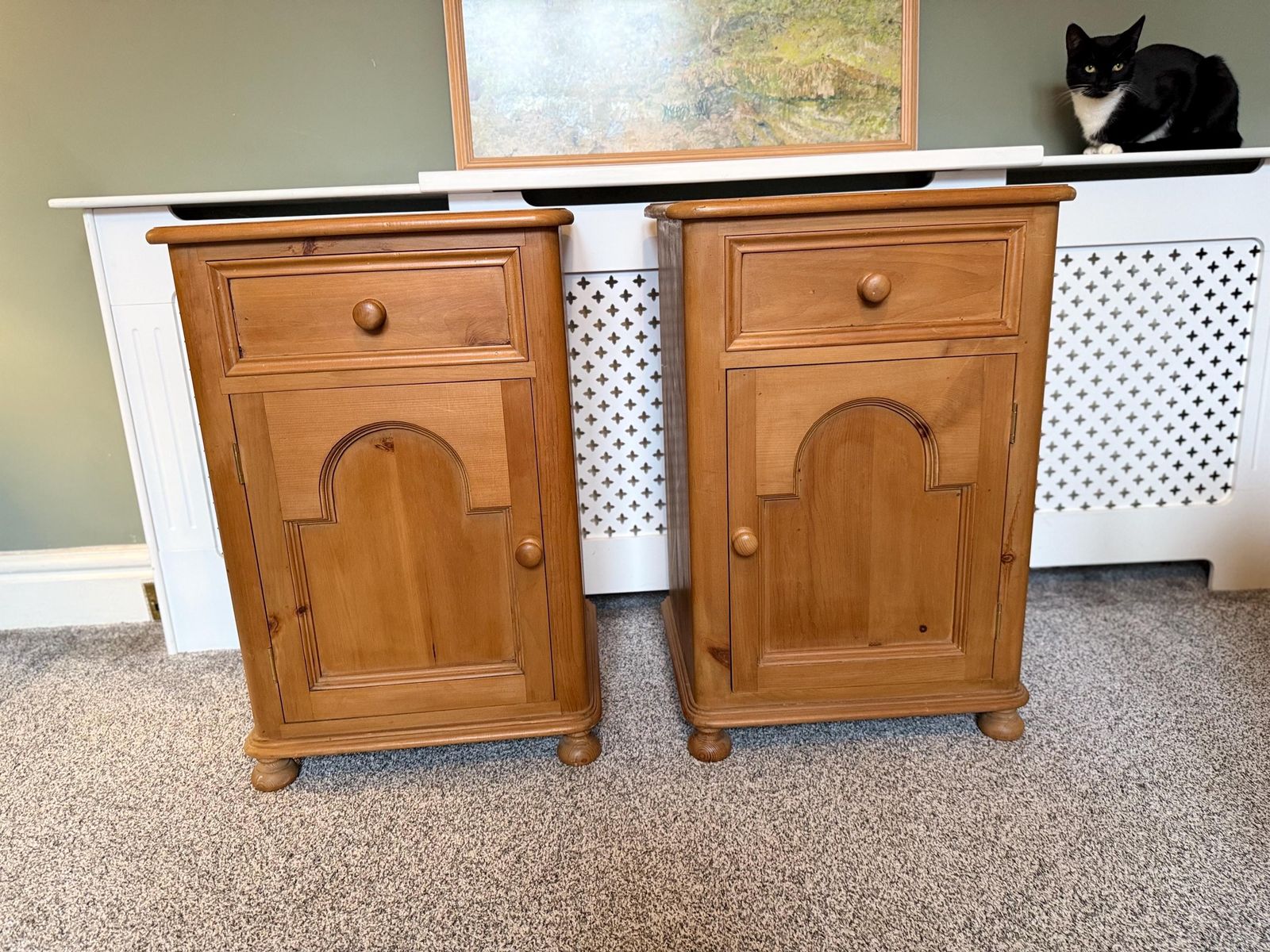Pair Of Antique Victorian Pine Pot Bedside Tables Chests Lamp Stands photo 500.0