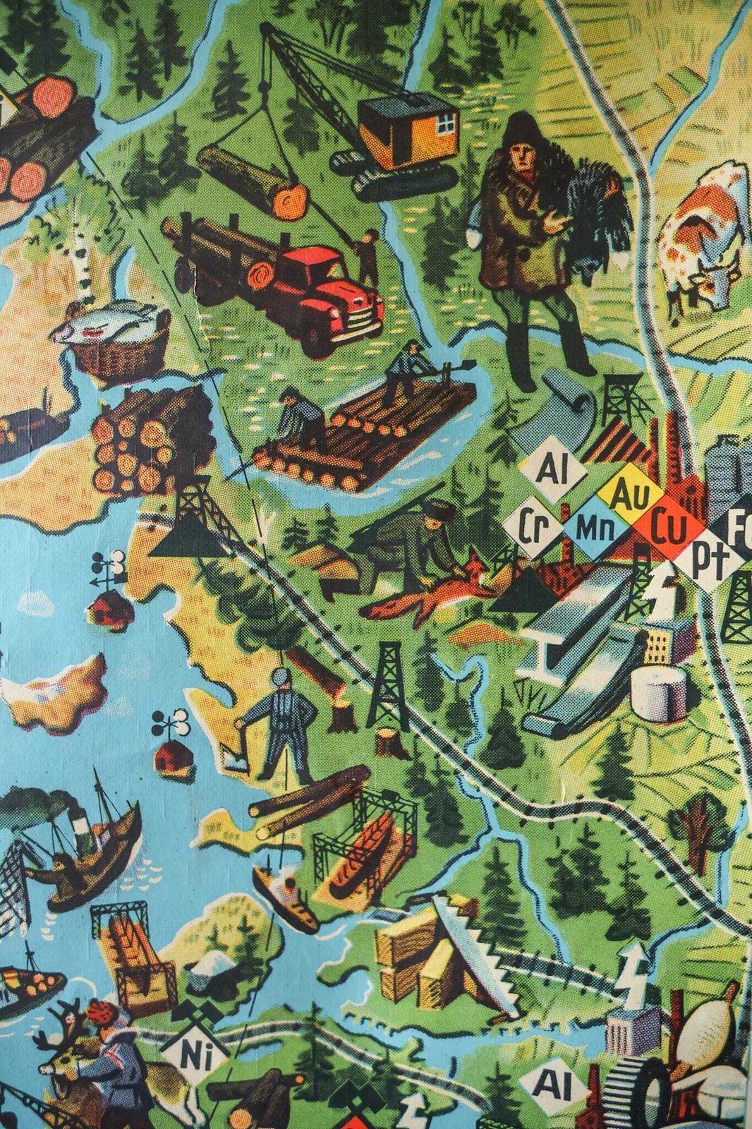 Large Original Vintage Mid Century German Educational School Wall Chart North Pole Arctic Map Wildlife Quirky Geography Rare Westermann photo buy