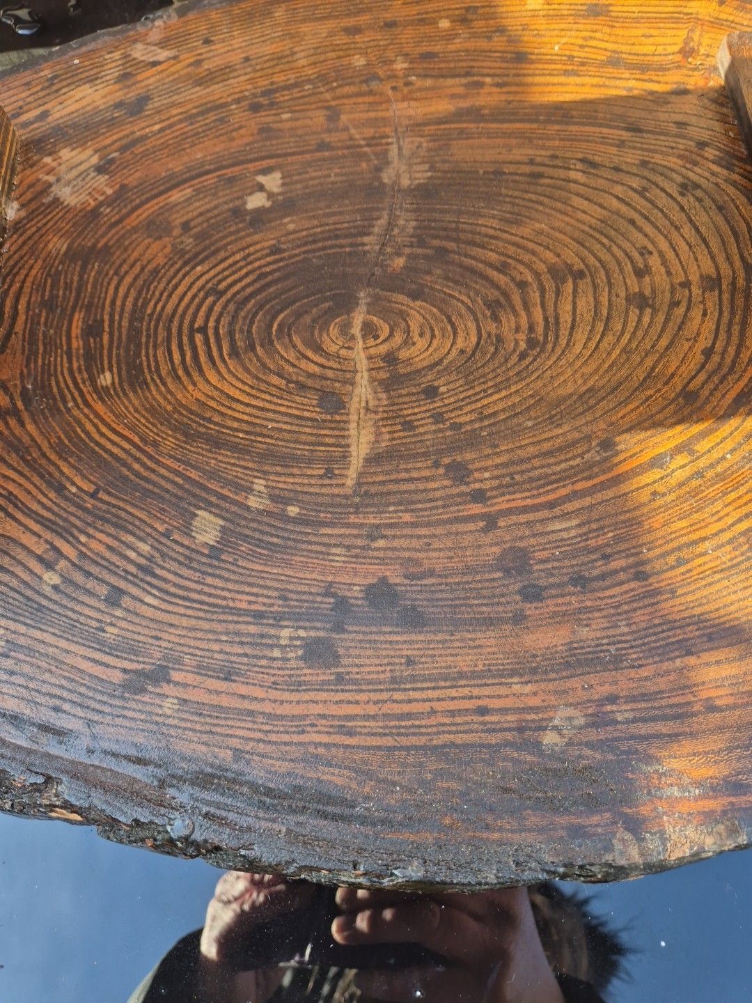 photo vintage Handmade Rustic Vintage Wooden Coffee Table Oval Tree Trunk Side Table