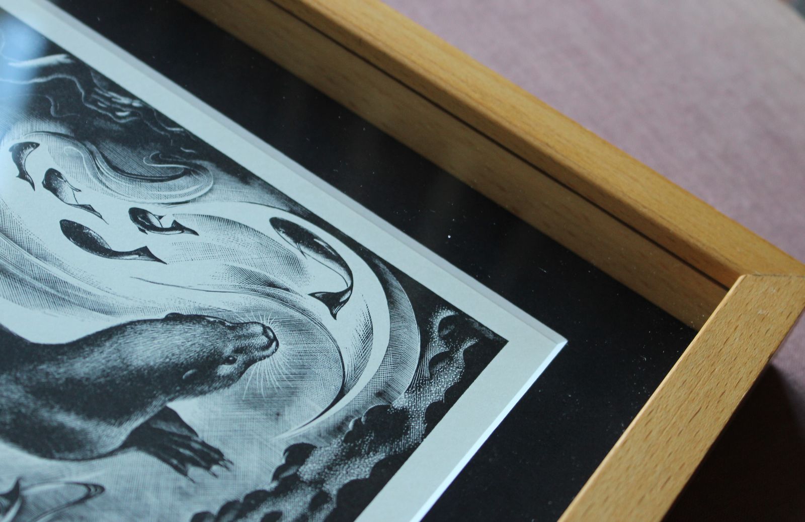 A Framed Lithograph From A Woodcut 'Diving Otter' By Agnes Miller Parker C1937 photo for sale