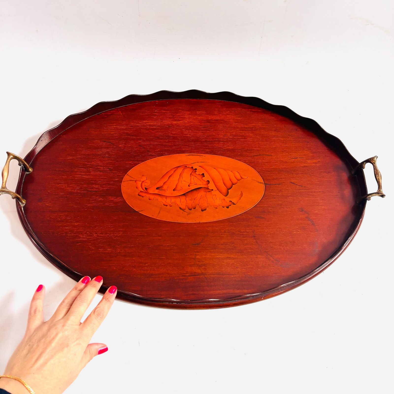 Antique Edwardian Mahogany Tray | Marquetry Inlaid Shell With Brass Handles | Butler's Tea 19c