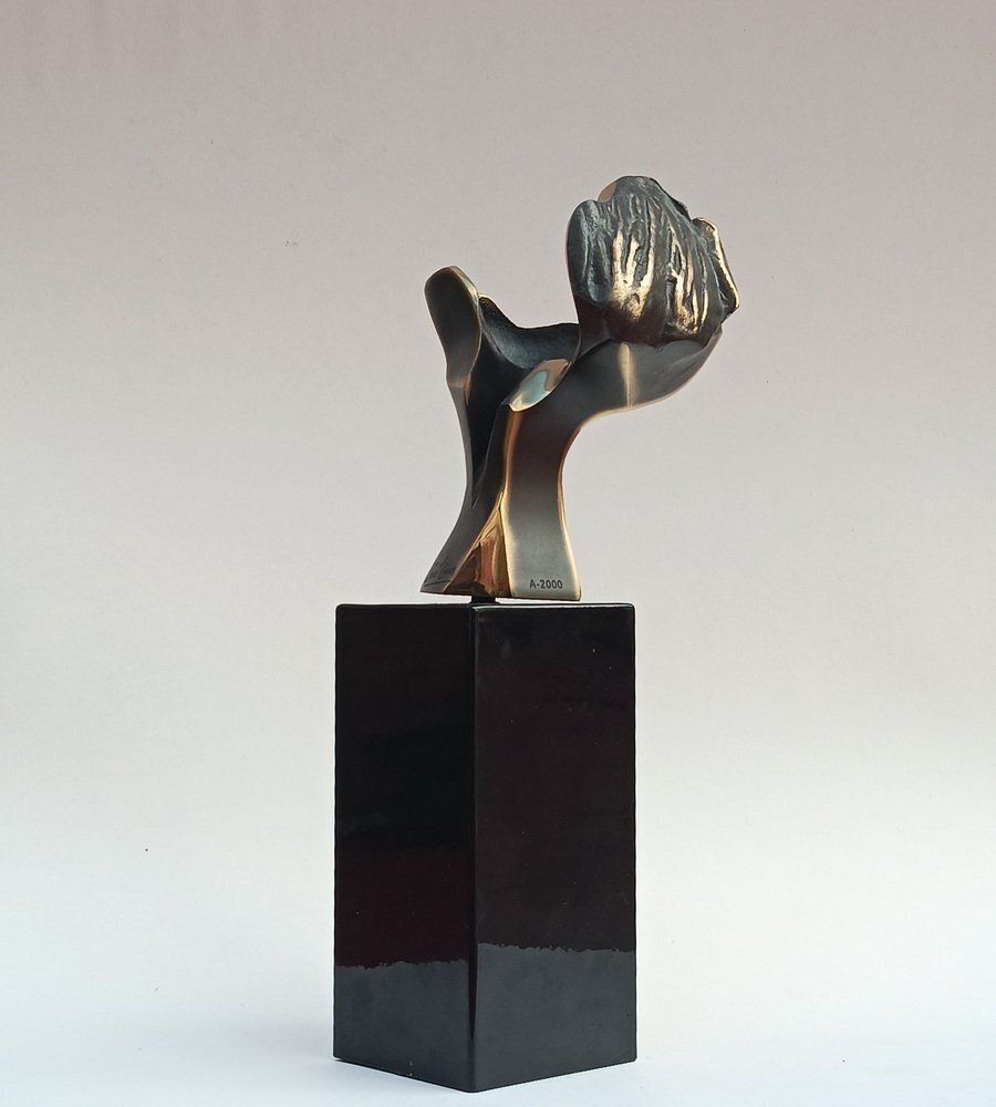 Aluminum & Bronze Sculpture In The Air Of His Flight By José Lucas, 2000 photo Art