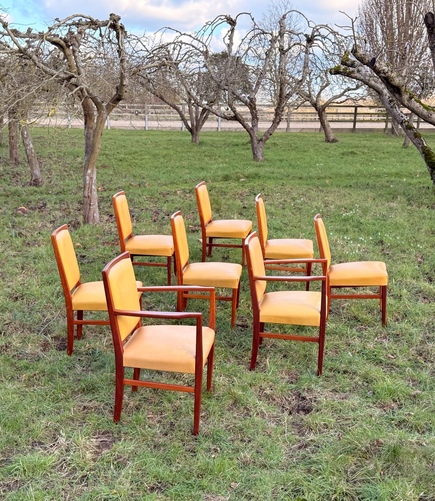 photo furniture Mid Century Mahogany Set Of Eight Dining Chairs By Marin Hall For Gordon Russell 1970