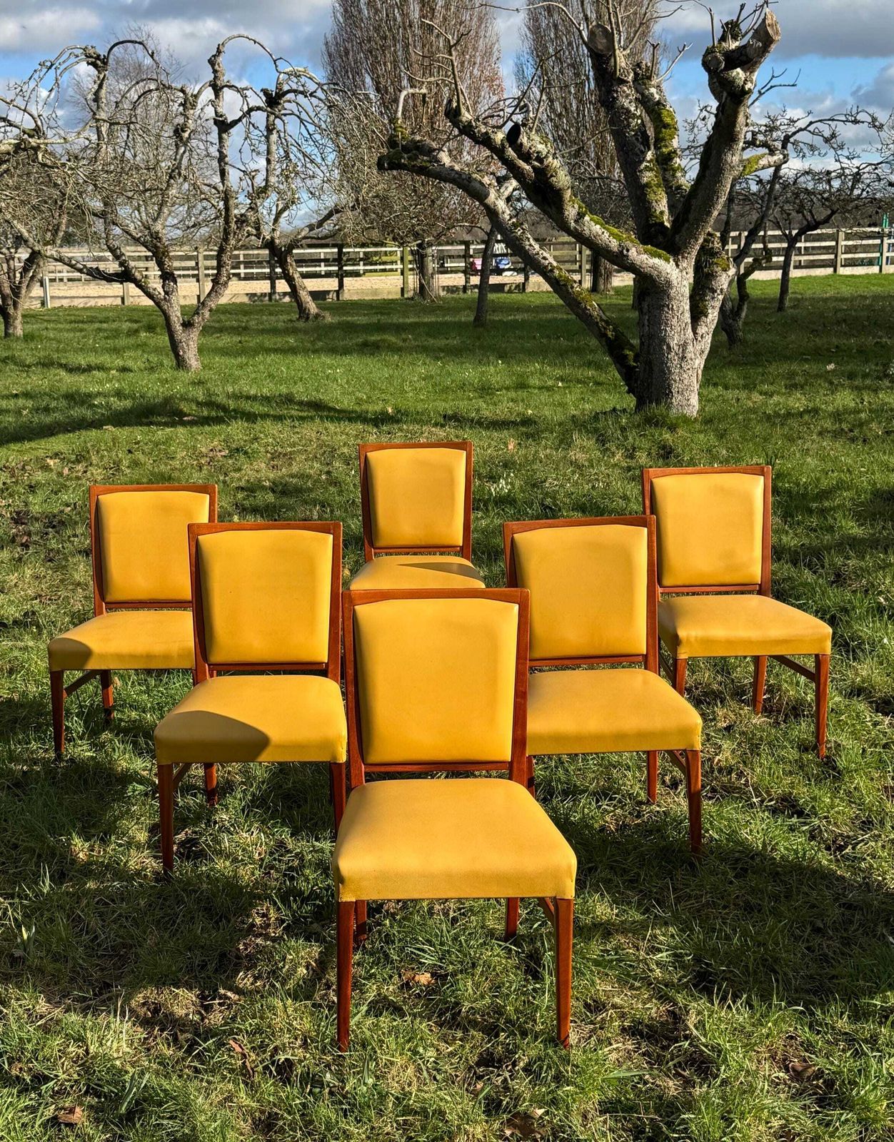 photo buy Mid Century Mahogany Set Of Eight Dining Chairs By Marin Hall For Gordon Russell 1970
