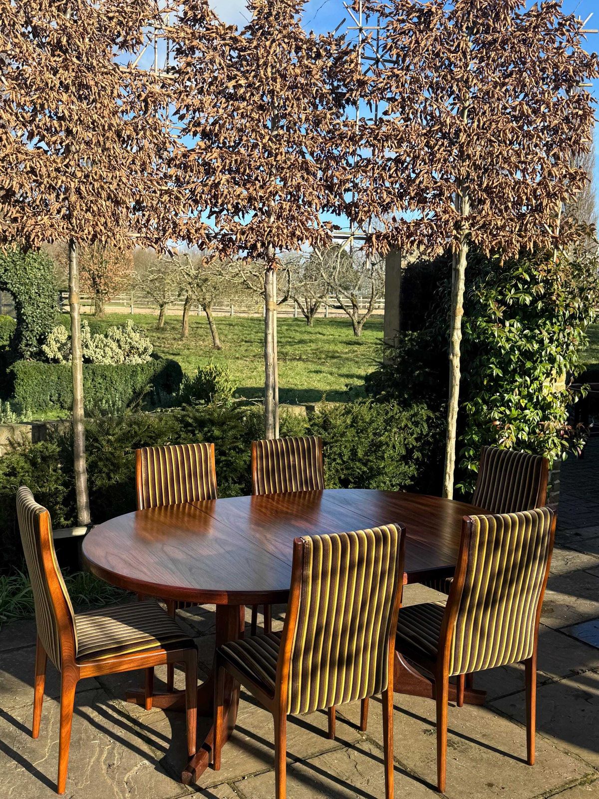 Mid Century Modern Danish Rosewood Dining Table And Eight Rosewood Chairs By Robert Heritage For Archie Shine 1970. photo buy