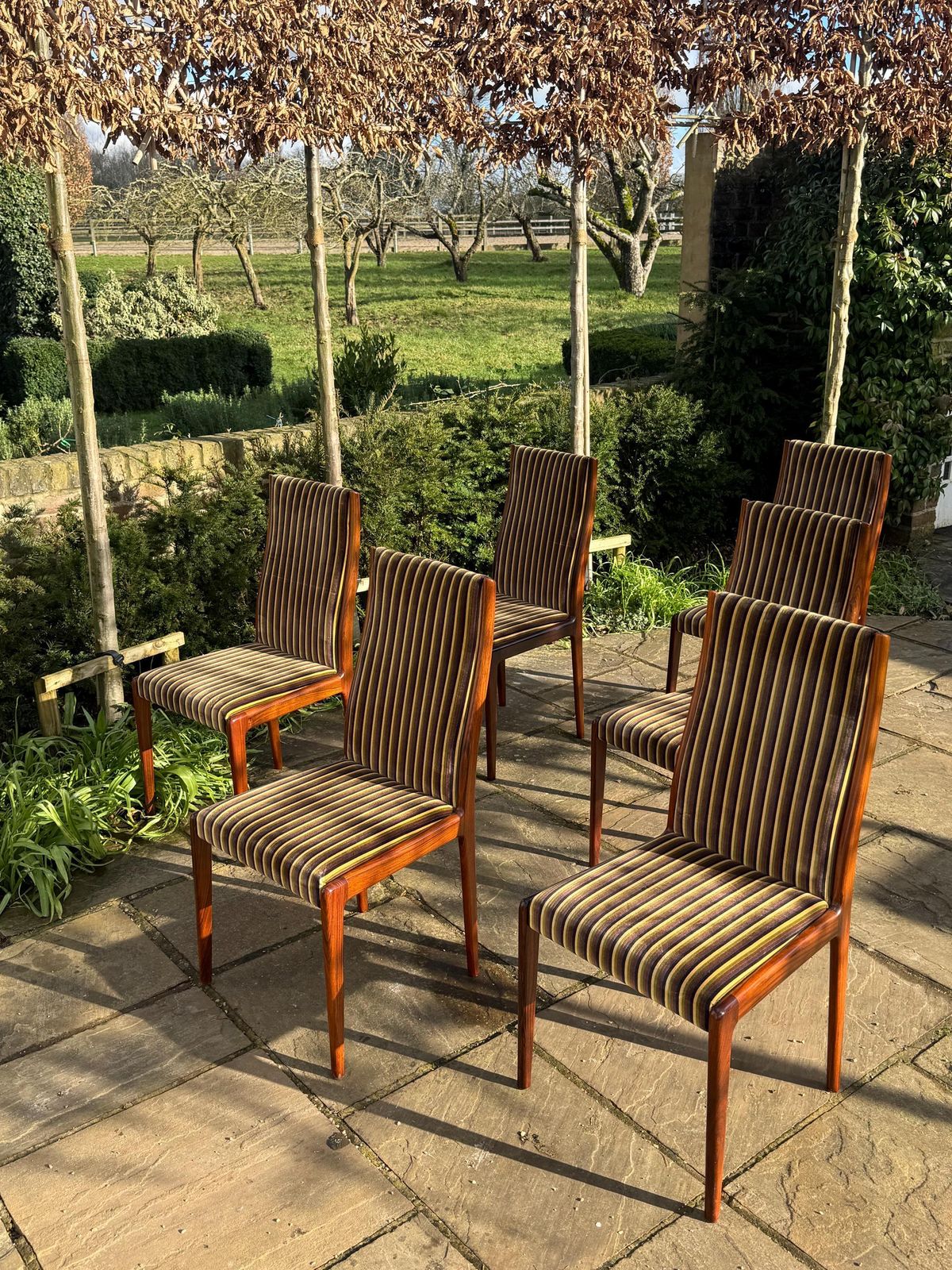 photo for sale Mid Century Rosewood Hamilton Dining Chairs By Robert Heritage For Archie Shine, Set Of Eight.