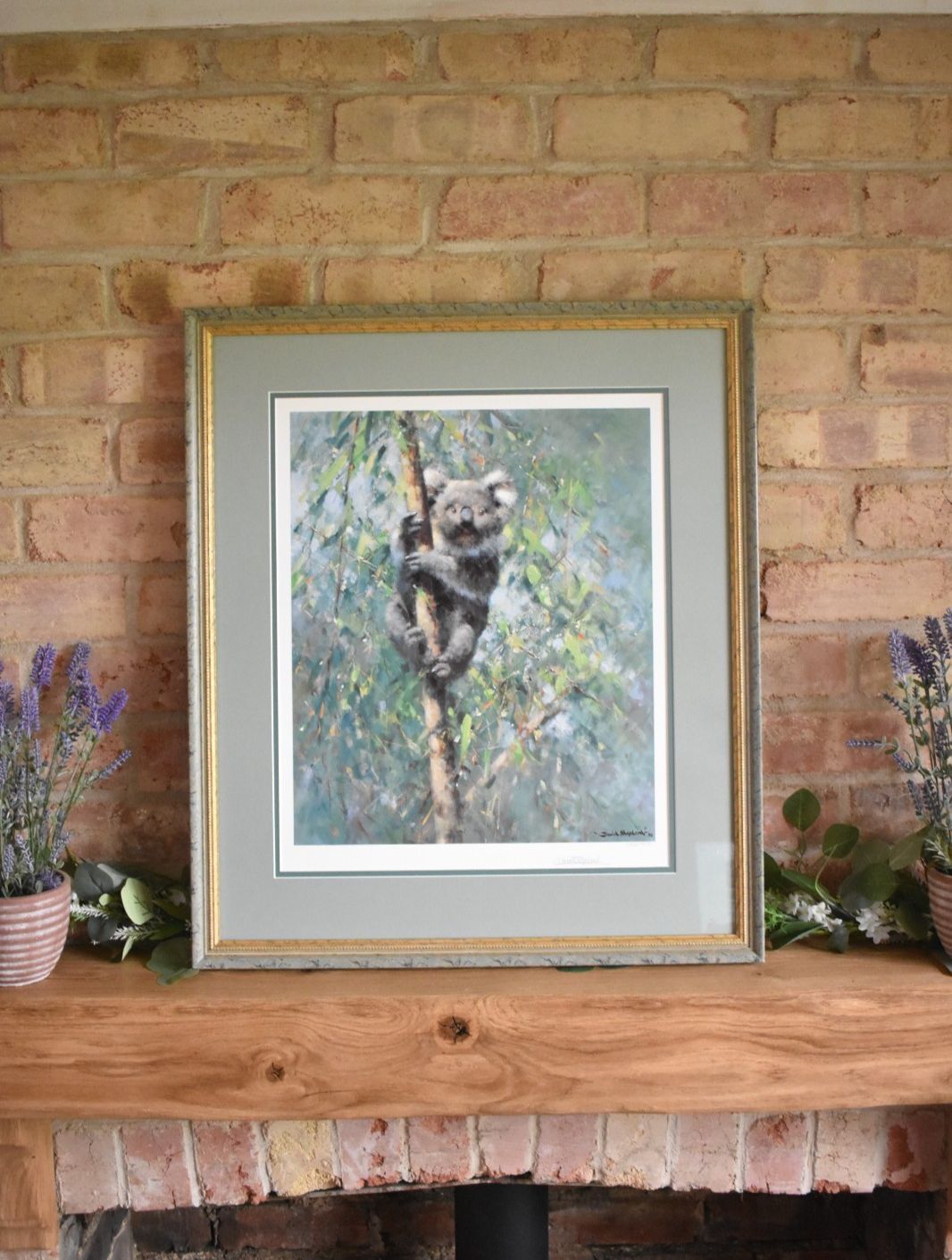 Koala By David Shepherd Large Framed Print Limited Edition Signed By Artist