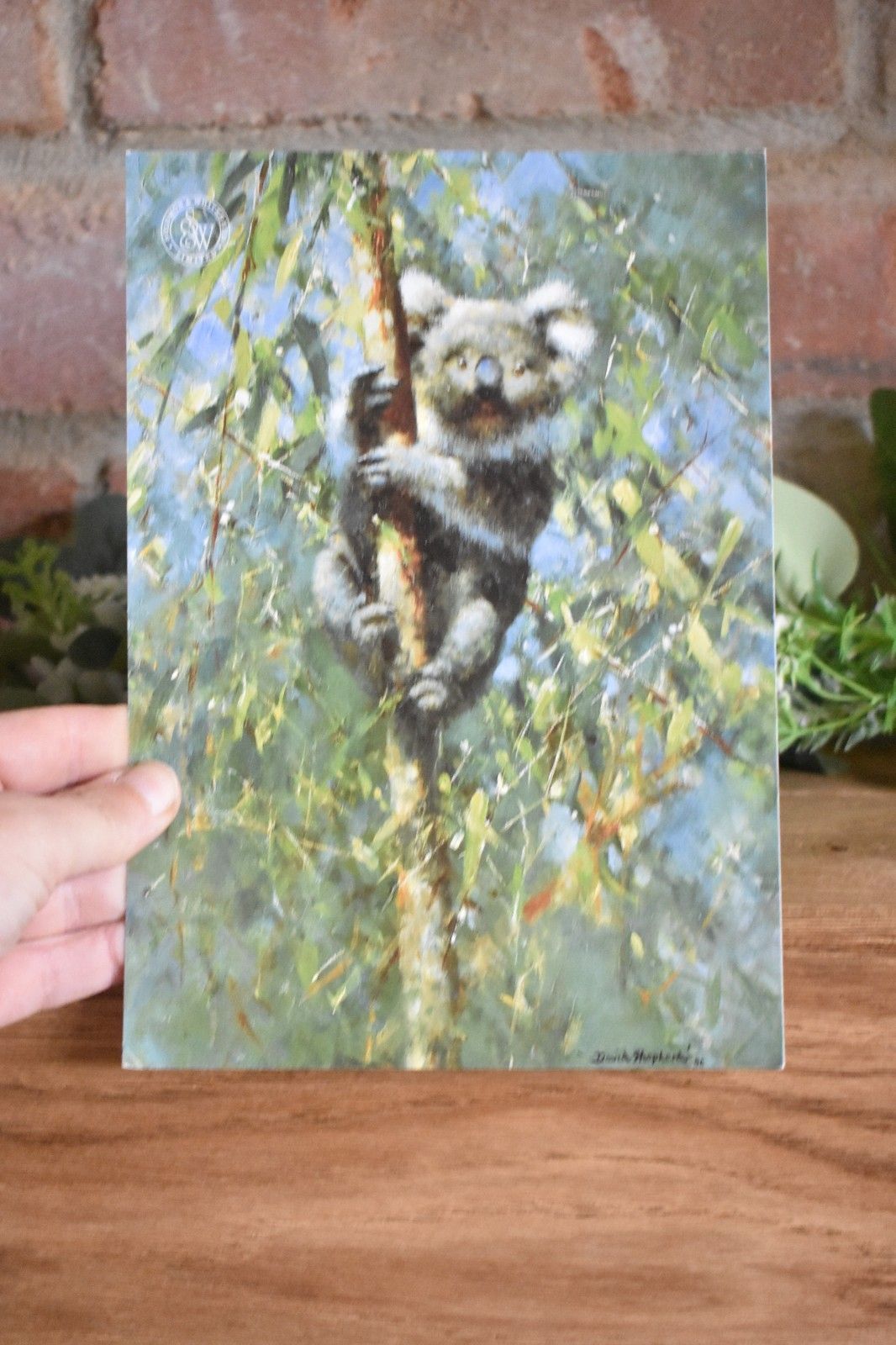 Koala By David Shepherd Large Framed Print Limited Edition Signed By Artist photo furniture