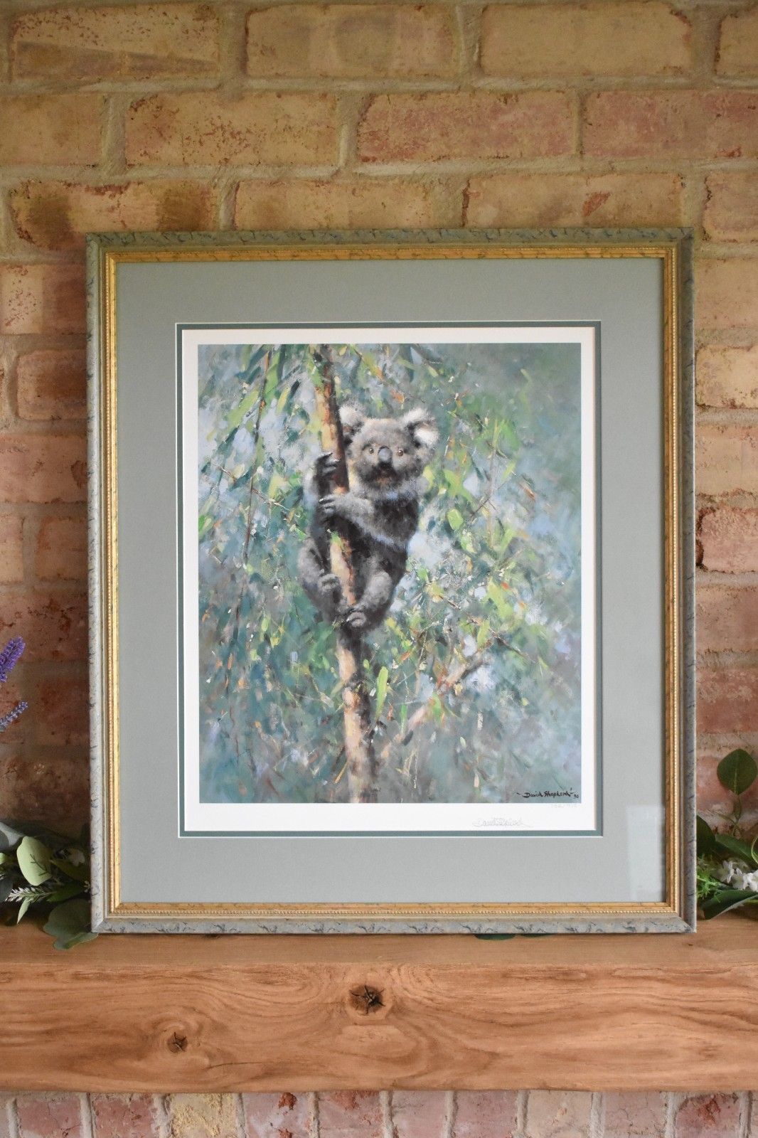 Koala By David Shepherd Large Framed Print Limited Edition Signed By Artist photo buy