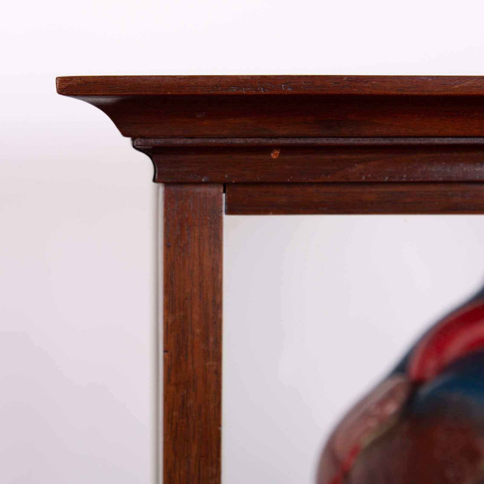 Anatomical Heart In Fine Display Case Cabinet photo for sale