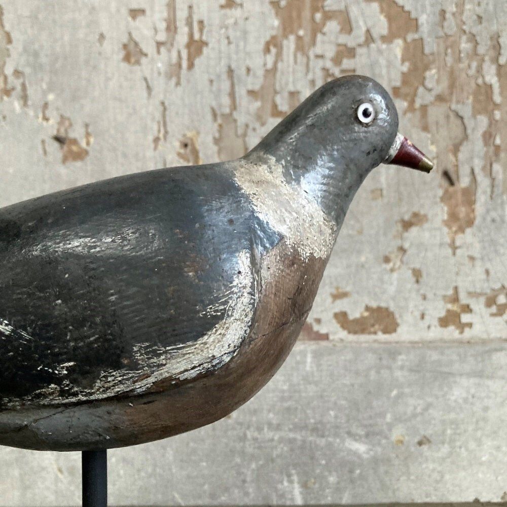 Antique Wood Pigeon Decoy   James Rolph photo for sale