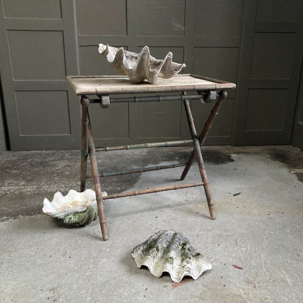 695.0 Two Large Antique Clam Shells, 1800s photo