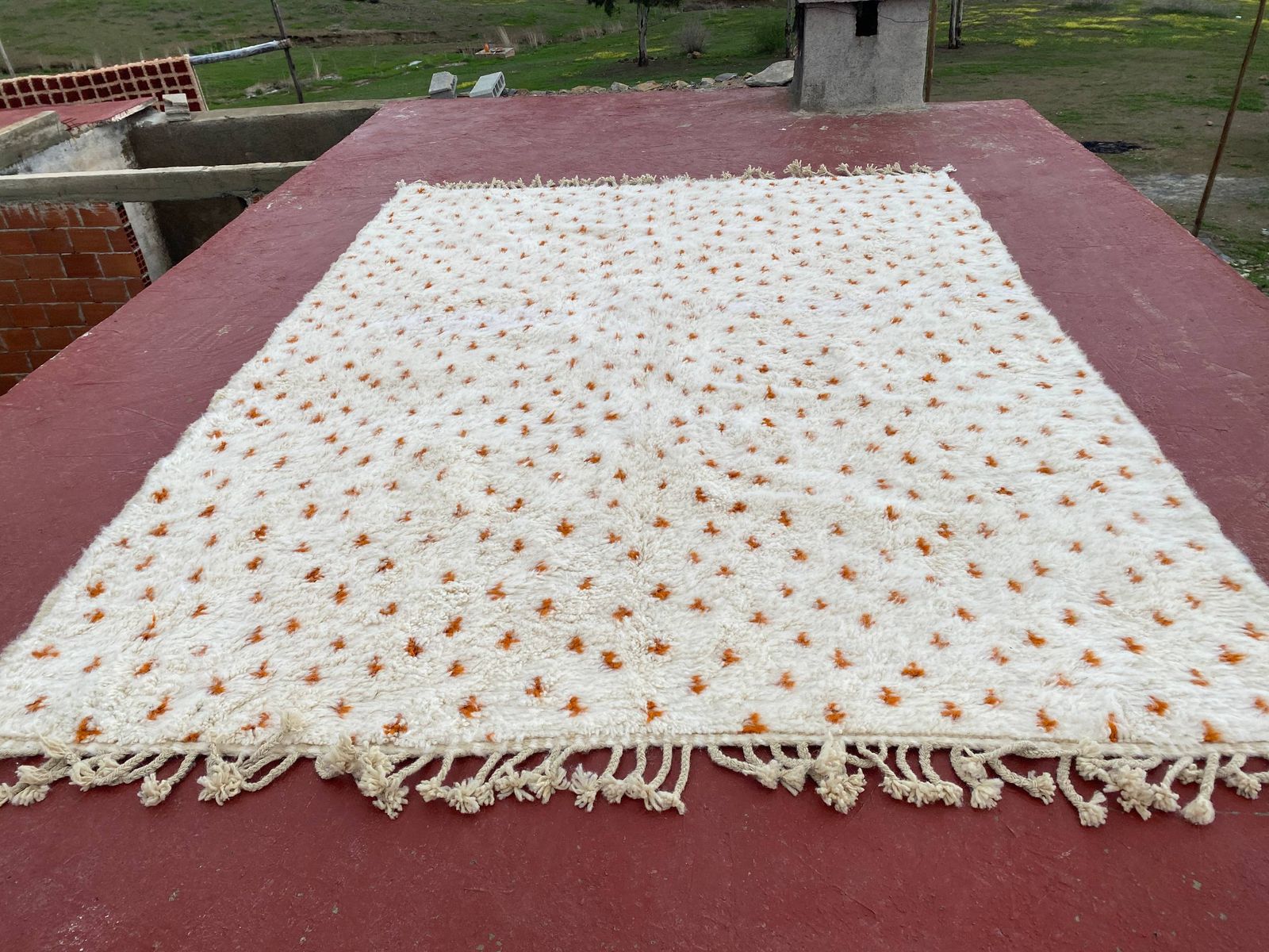 photo for sale Authentic Beni Ouarain Rug 330x230cm – Ivory Wool With Terracotta Motifs