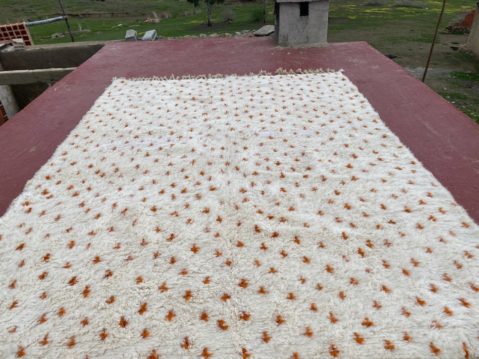Textiles Authentic Beni Ouarain Rug 330x230cm – Ivory Wool With Terracotta Motifs photo