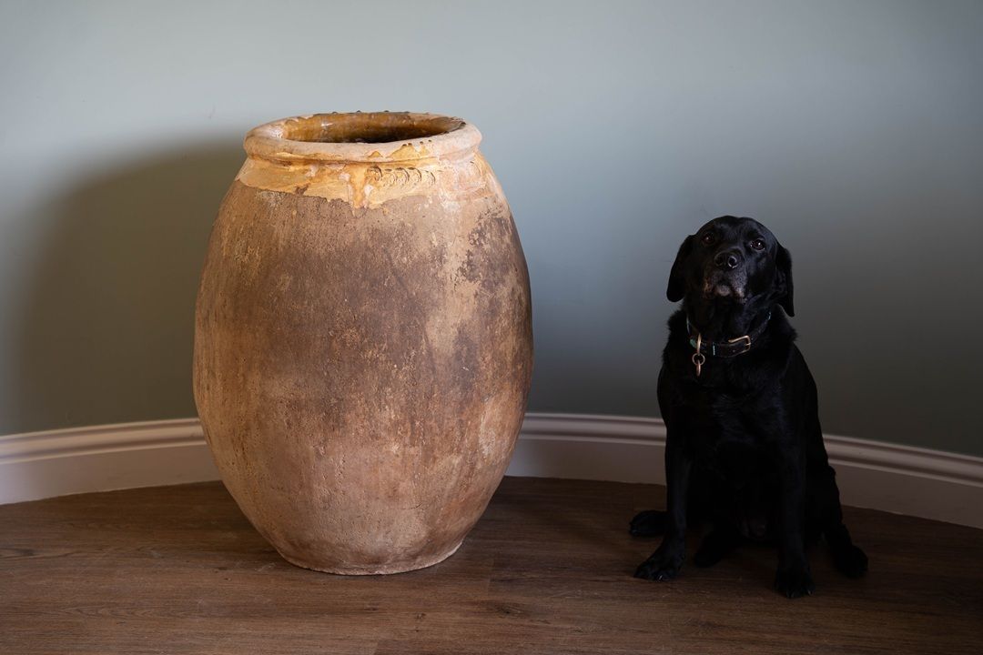 Stamped Antique Yellow Biot