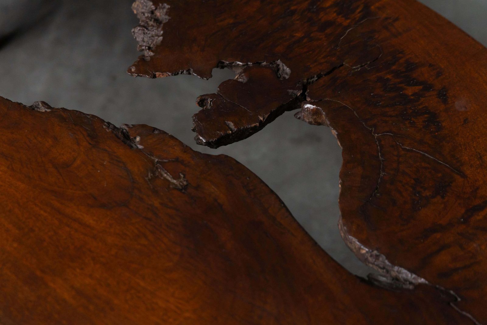 photo furniture Organic Modern Coffee Table With Natural Void, France, Mid 20th Century