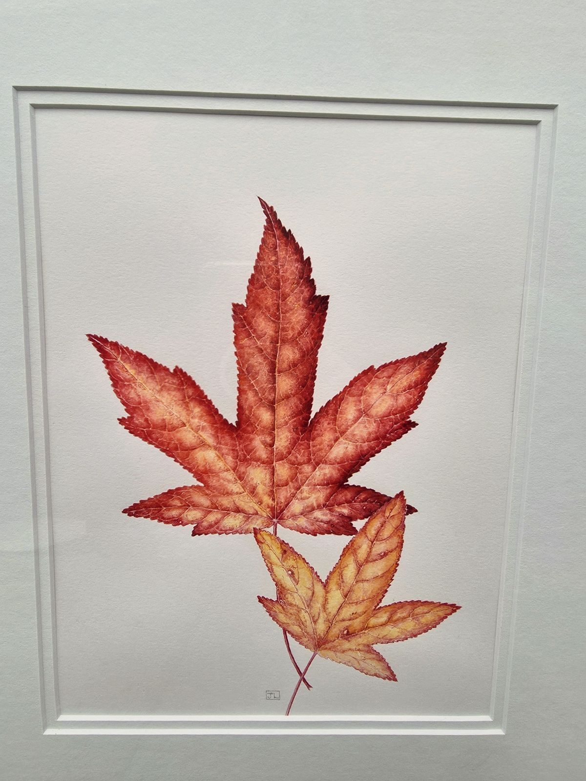 Striking Watercolour Entitled Liquidambar Leaves On Pure White Background photo furniture