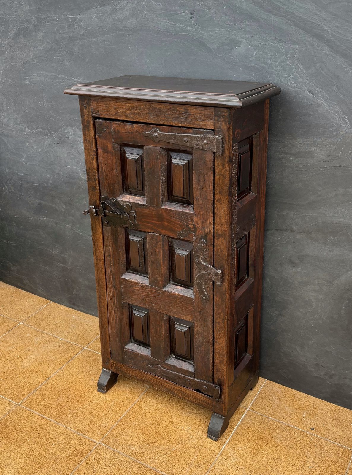 Spanish Rustic Solid Oak Cabinet With Paneled Door And Iron Hardware, 1880s photo vintage