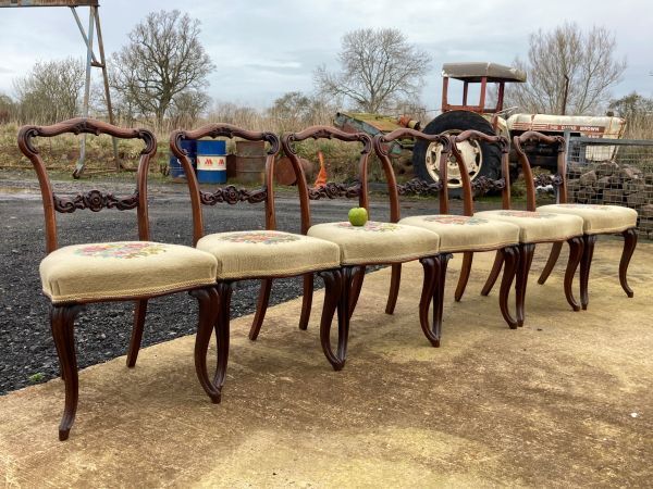A Fine Set Of 6 Victorian Rosewood Dining Chairs photo furniture