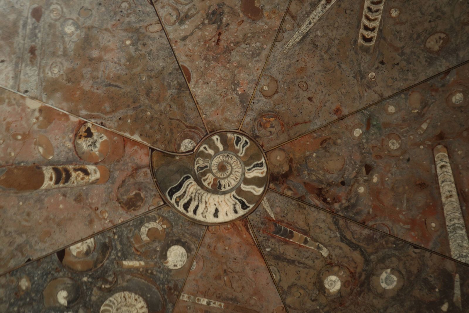 2437.0 Coffee Table Made Of Fossil Stone, France, 1970s. photo
