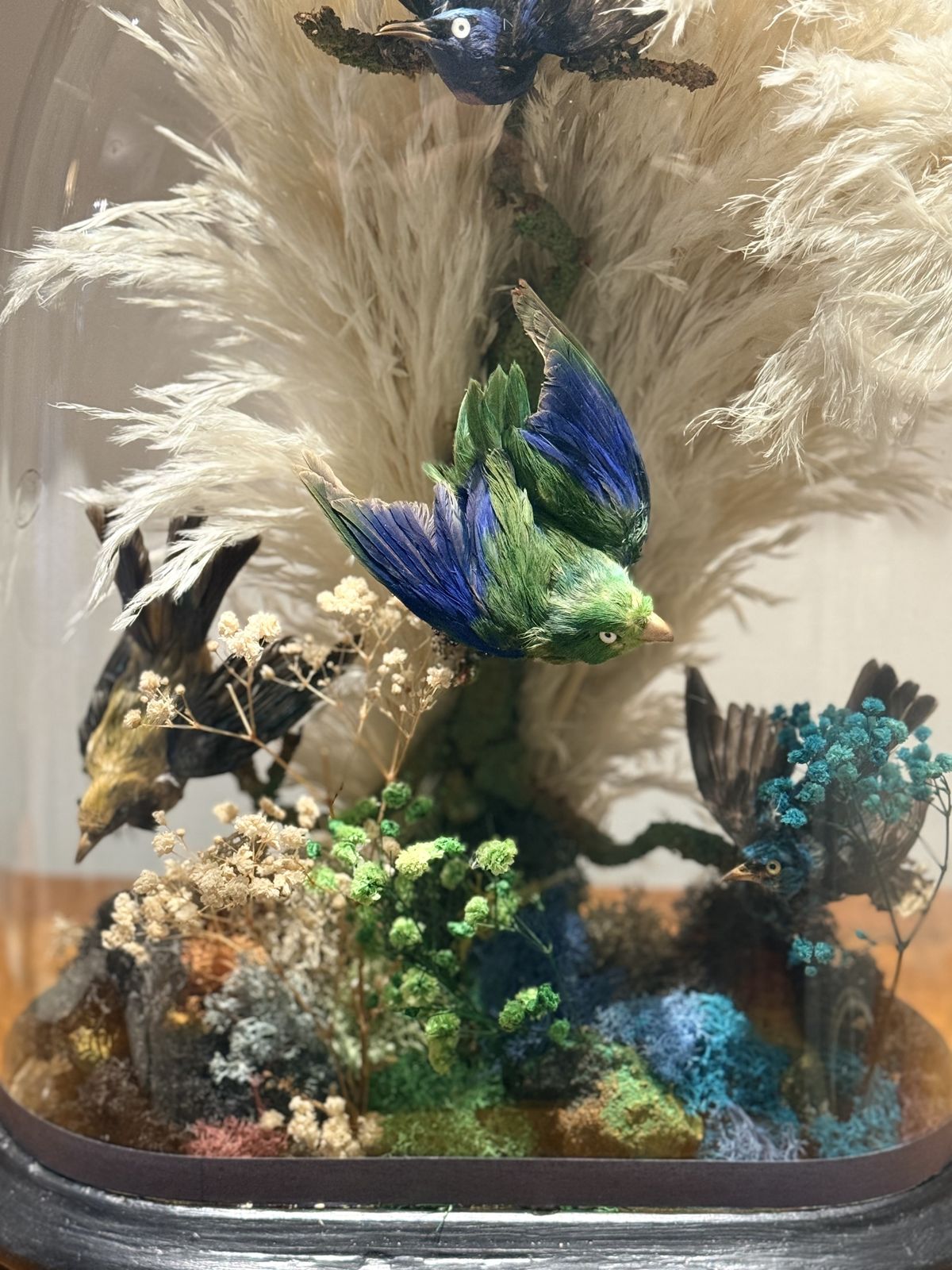 Victorian Taxidermy Dome — Exotic Tropical Birds With Pampas Grass & Coloured Moss, Ebonised Base photo Home Decor