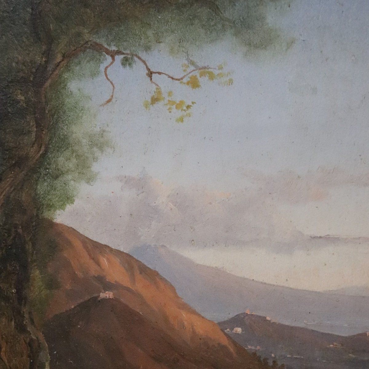 photo for sale Panoramic View Of Naples, Oil Painting On Canvas, 19th Century, Framed