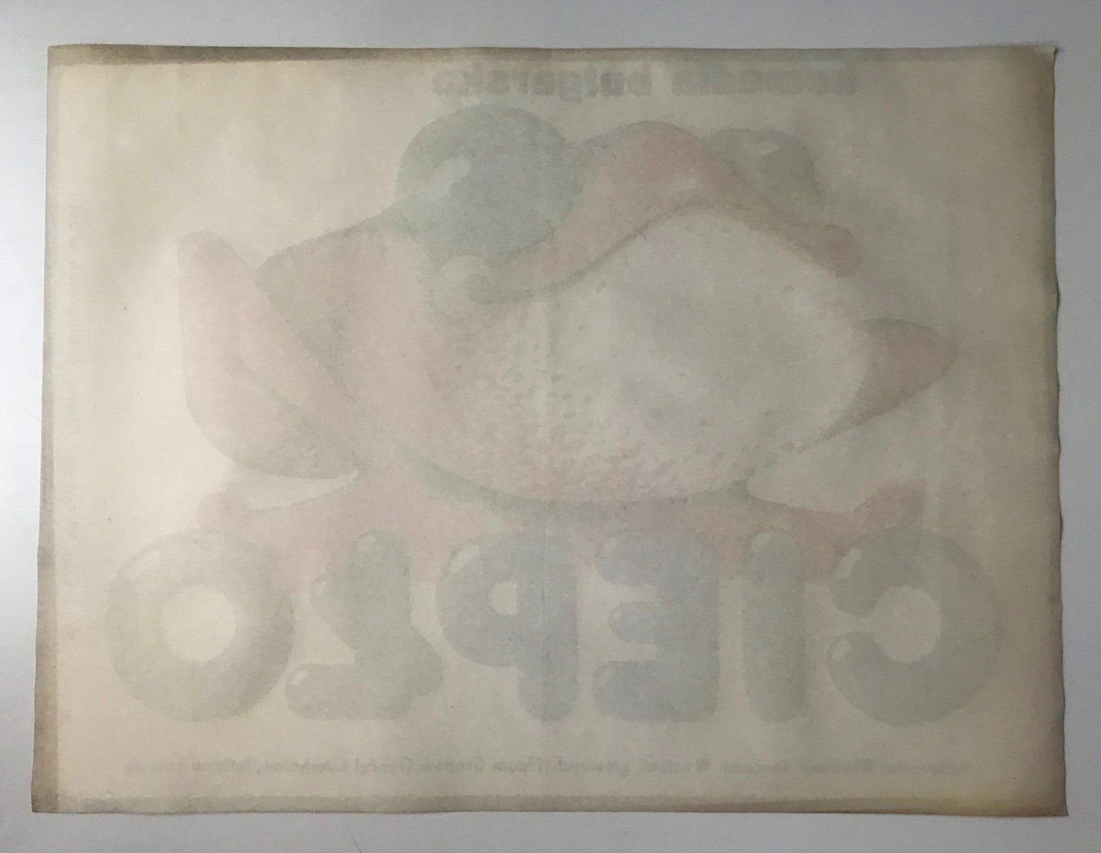 Polish Movie Poster Ciepło (Frog) By Danuta Bagińska Andrejew, 1979 photo furniture