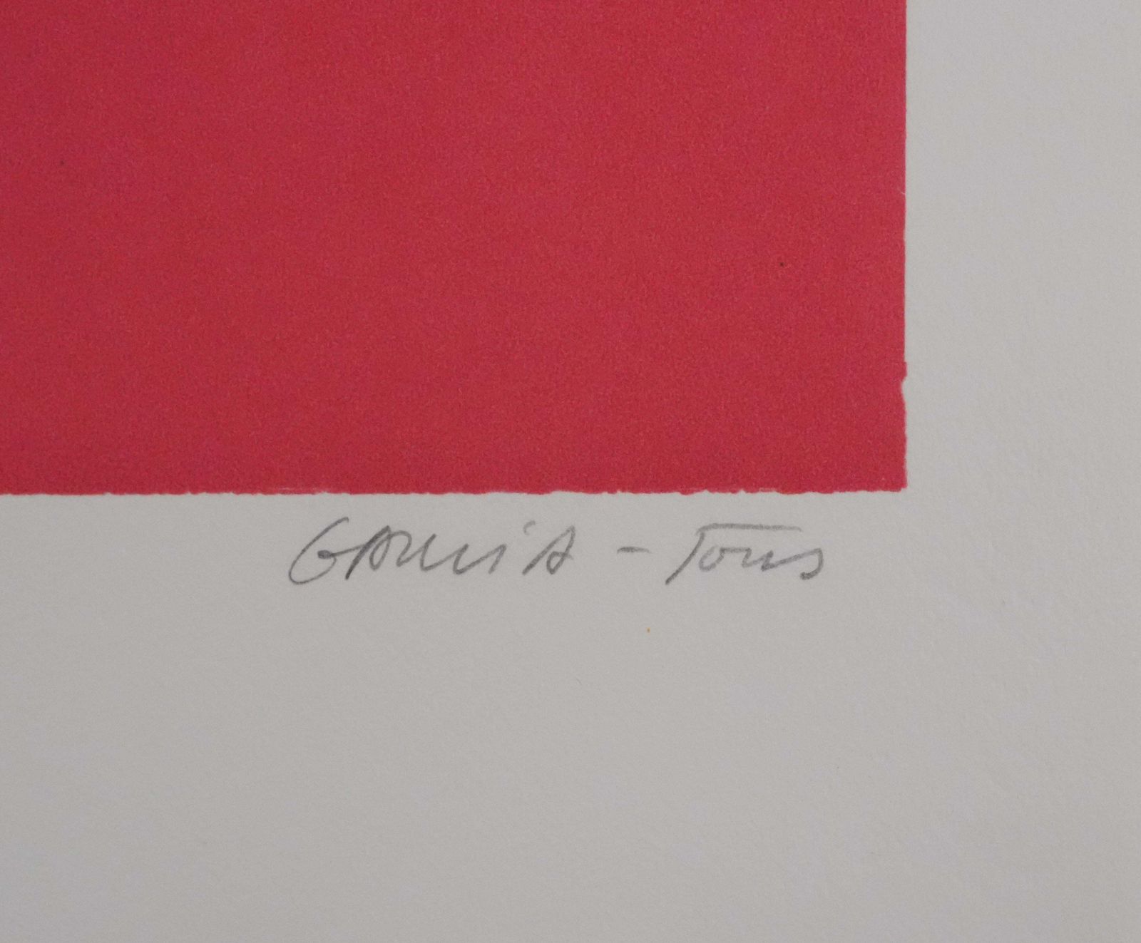 Pierre Garcia Fonsflower Pot With Red Background   Original Lithograph, Signed photo furniture