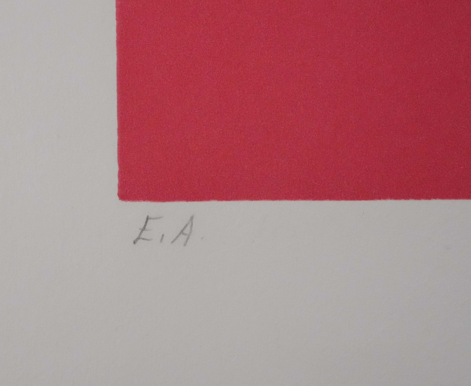 Pierre Garcia Fonsflower Pot With Red Background   Original Lithograph, Signed photo buy