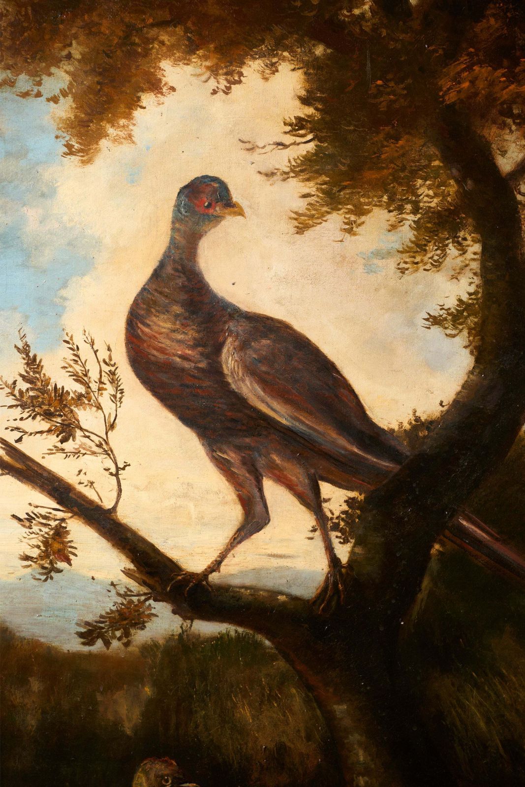 19th Century Very Large Oval Oil On Canvas Painting Of Birds photo for sale